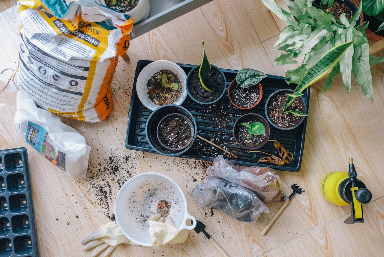 Richtig bücken bei Gartenarbeit 15 fabelhafte Tipps