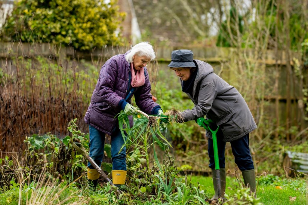 rückenschonende Gartenarbeit erleichtert Arbeit nicht nur Senioren